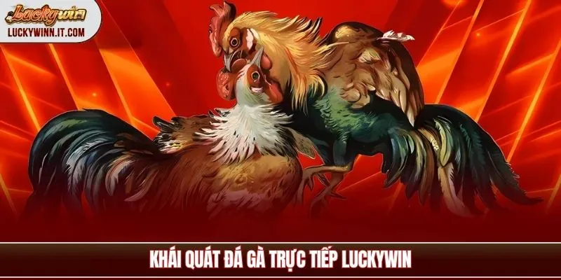 da-ga-truc-tiep-khai-quat