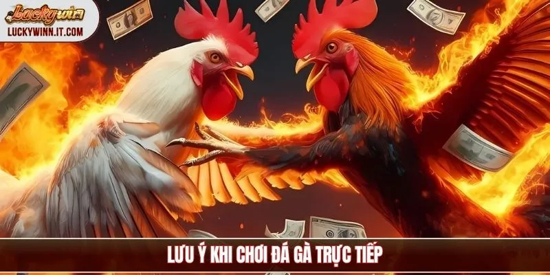 da-ga-truc-tiep-luu-y