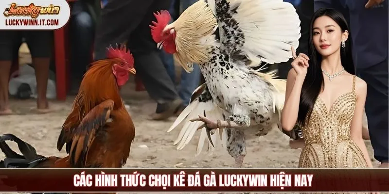 hinh-thuc-da-ga-luckywin