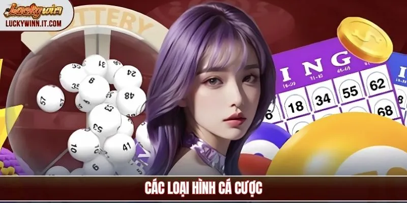 xo-so-mien-bac-cac-loai-dat-cuoc